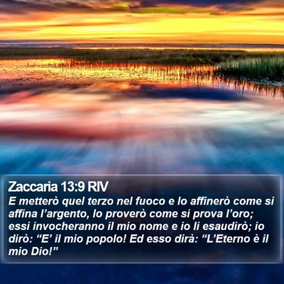 Zaccaria 13:9 RIV Bible Verse Image