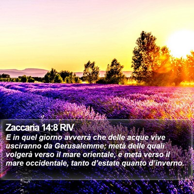 Zaccaria 14:8 RIV Bible Verse Image