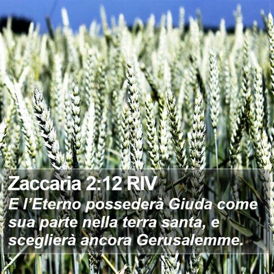 Zaccaria 2:12 RIV Bible Verse Image