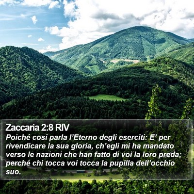 Zaccaria 2:8 RIV Bible Verse Image