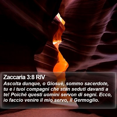 Zaccaria 3:8 RIV Bible Verse Image