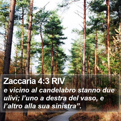 Zaccaria 4:3 RIV Bible Verse Image
