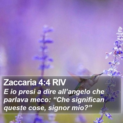 Zaccaria 4:4 RIV Bible Verse Image