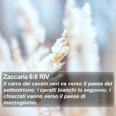 Zaccaria 6:6 RIV Bible Verse Image
