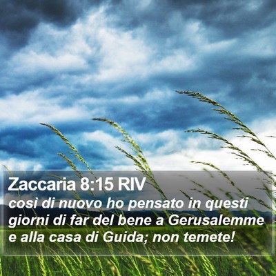 Zaccaria 8:15 RIV Bible Verse Image