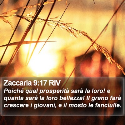 Zaccaria 9:17 RIV Bible Verse Image