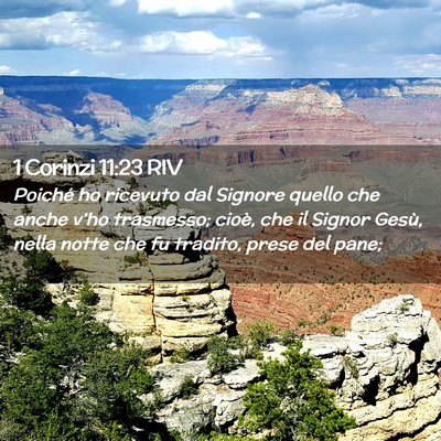 Picture 02 - 1 Corinzi 11:23 RIV - Poiché ho ricevuto dal Signore quello che anche - Bible Verse Picture