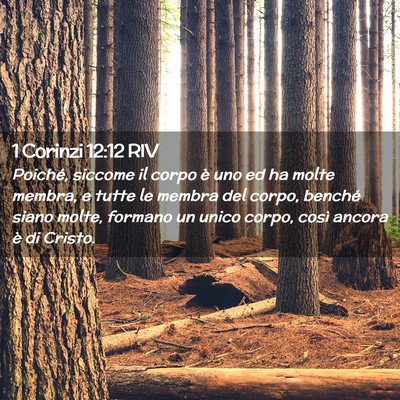 Picture 02 - 1 Corinzi 12:12 RIV - Poiché, siccome il corpo è uno ed ha molte - Bible Verse Picture