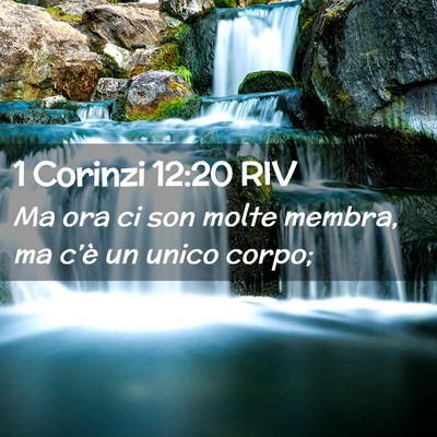 Picture 02 - 1 Corinzi 12:20 RIV - Ma ora ci son molte membra, ma c’è un unico - Bible Verse Picture