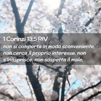 Picture 02 - 1 Corinzi 13:5 RIV - non si comporta in modo sconveniente, non cerca - Bible Verse Picture