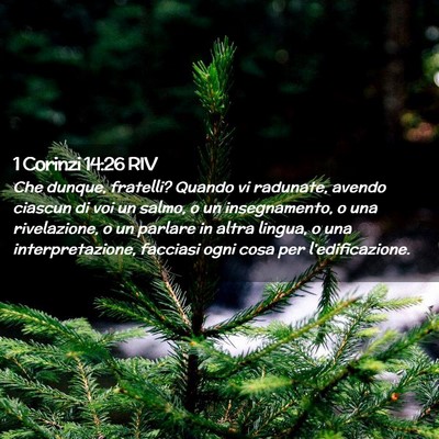Picture 02 - 1 Corinzi 14:26 RIV - Che dunque, fratelli? Quando vi radunate, avendo - Bible Verse Picture
