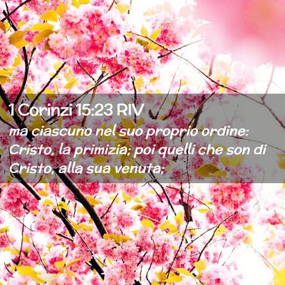 Picture 02 - 1 Corinzi 15:23 RIV - ma ciascuno nel suo proprio ordine: Cristo, la - Bible Verse Picture