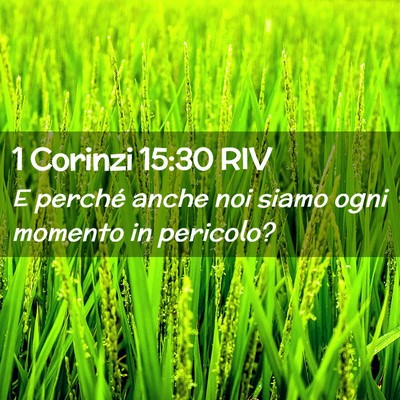 Picture 02 - 1 Corinzi 15:30 RIV - E perché anche noi siamo ogni momento in - Bible Verse Picture