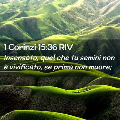 Picture 02 - 1 Corinzi 15:36 RIV - Insensato, quel che tu semini non è vivificato, - Bible Verse Picture