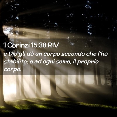 Picture 02 - 1 Corinzi 15:38 RIV - e Dio gli dà un corpo secondo che l’ha - Bible Verse Picture