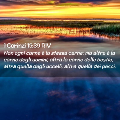 Picture 02 - 1 Corinzi 15:39 RIV - Non ogni carne è la stessa carne; ma altra è la - Bible Verse Picture