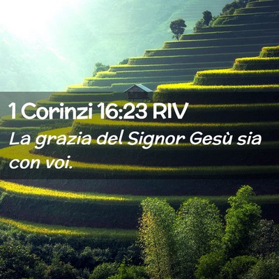 Picture 02 - 1 Corinzi 16:23 RIV - La grazia del Signor Gesù sia con - Bible Verse Picture