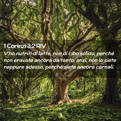 Picture 02 - 1 Corinzi 3:2 RIV - V’ho nutriti di latte, non di cibo solido, - Bible Verse Picture