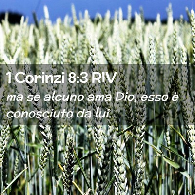 Picture 02 - 1 Corinzi 8:3 RIV - ma se alcuno ama Dio, esso è conosciuto da - Bible Verse Picture