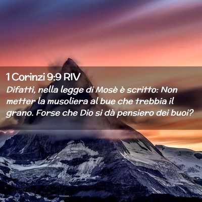Picture 02 - 1 Corinzi 9:9 RIV - Difatti, nella legge di Mosè è scritto: Non - Bible Verse Picture