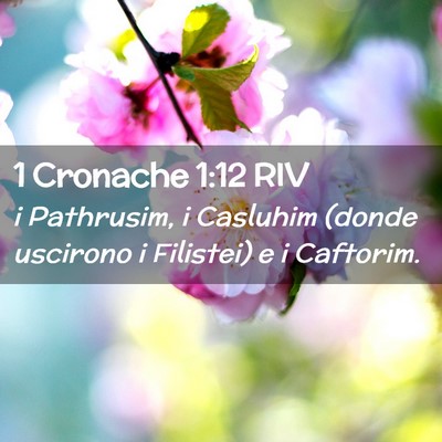Picture 02 - 1 Cronache 1:12 RIV - i Pathrusim, i Casluhim (donde uscirono i - Bible Verse Picture