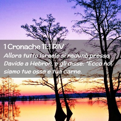 Picture 02 - 1 Cronache 11:1 RIV - Allora tutto Israele si radunò presso Davide a - Bible Verse Picture