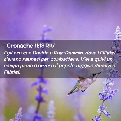 Picture 02 - 1 Cronache 11:13 RIV - Egli era con Davide a Pas-Dammin, dove i Filistei - Bible Verse Picture