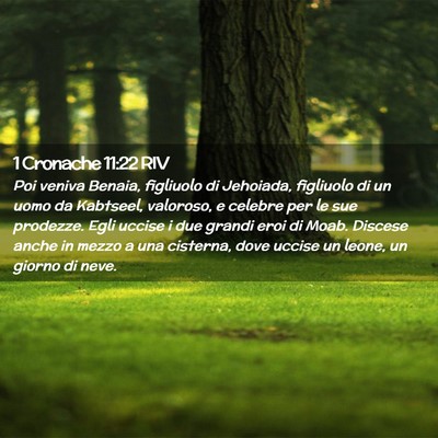 Picture 02 - 1 Cronache 11:22 RIV - Poi veniva Benaia, figliuolo di Jehoiada, - Bible Verse Picture
