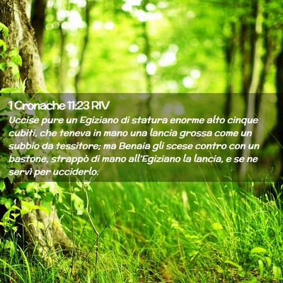 Picture 02 - 1 Cronache 11:23 RIV - Uccise pure un Egiziano di statura enorme alto - Bible Verse Picture