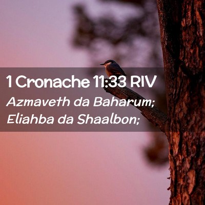 Picture 02 - 1 Cronache 11:33 RIV - Azmaveth da Baharum; Eliahba da - Bible Verse Picture