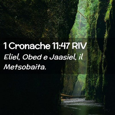 Picture 02 - 1 Cronache 11:47 RIV - Eliel, Obed e Jaasiel, il - Bible Verse Picture
