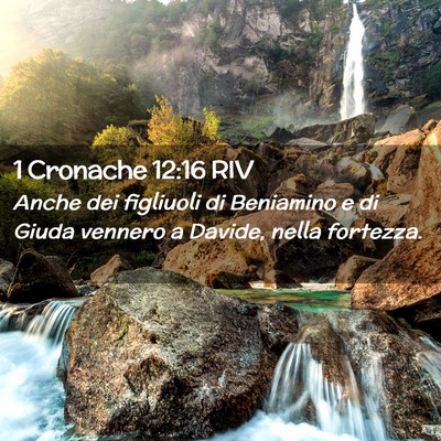 Picture 02 - 1 Cronache 12:16 RIV - Anche dei figliuoli di Beniamino e di Giuda - Bible Verse Picture