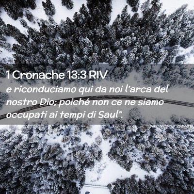 Picture 02 - 1 Cronache 13:3 RIV - e riconduciamo qui da noi l’arca del nostro - Bible Verse Picture
