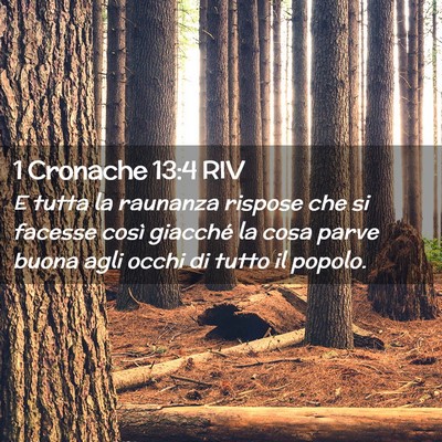 Picture 02 - 1 Cronache 13:4 RIV - E tutta la raunanza rispose che si facesse così - Bible Verse Picture