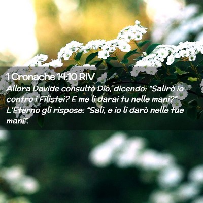 Picture 02 - 1 Cronache 14:10 RIV - Allora Davide consultò Dio, dicendo: “Salirò - Bible Verse Picture