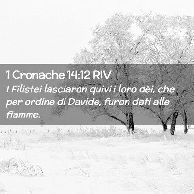Picture 02 - 1 Cronache 14:12 RIV - I Filistei lasciaron quivi i loro dèi, che per - Bible Verse Picture