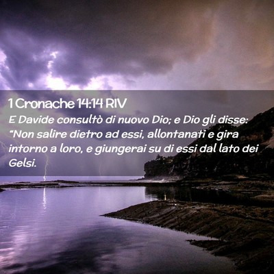 Picture 02 - 1 Cronache 14:14 RIV - E Davide consultò di nuovo Dio; e Dio gli disse: - Bible Verse Picture