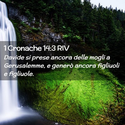 Picture 02 - 1 Cronache 14:3 RIV - Davide si prese ancora delle mogli a Gerusalemme, - Bible Verse Picture