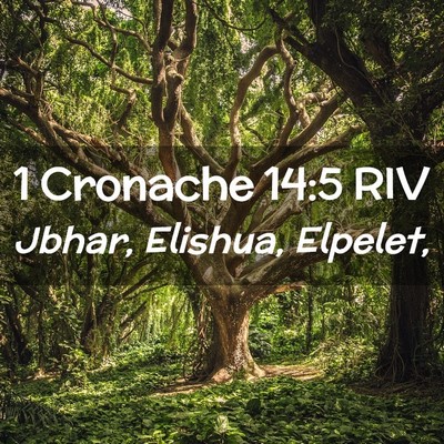Picture 02 - 1 Cronache 14:5 RIV - Jbhar, Elishua, - Bible Verse Picture