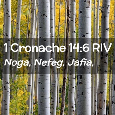 Picture 02 - 1 Cronache 14:6 RIV - Noga, Nefeg, - Bible Verse Picture