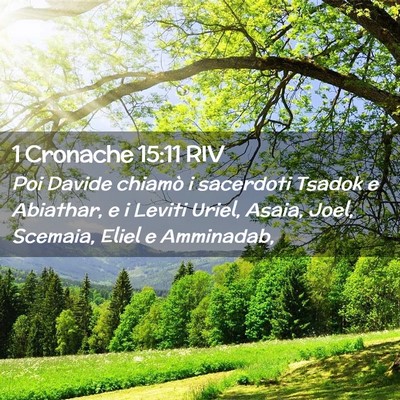 Picture 02 - 1 Cronache 15:11 RIV - Poi Davide chiamò i sacerdoti Tsadok e Abiathar, - Bible Verse Picture