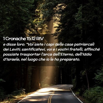 Picture 02 - 1 Cronache 15:12 RIV - e disse loro: “Voi siete i capi delle case - Bible Verse Picture