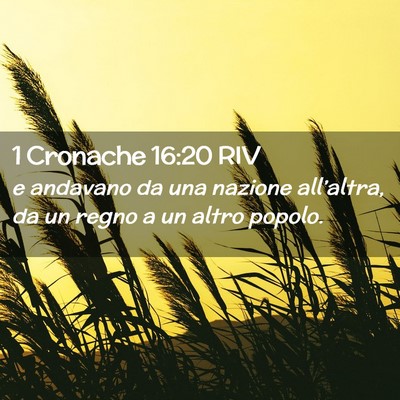 Picture 02 - 1 Cronache 16:20 RIV - e andavano da una nazione all’altra, da un - Bible Verse Picture