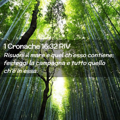 Picture 02 - 1 Cronache 16:32 RIV - Risuoni il mare e quel ch’esso contiene; - Bible Verse Picture