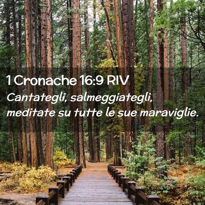 Picture 02 - 1 Cronache 16:9 RIV - Cantategli, salmeggiategli, meditate su tutte le - Bible Verse Picture