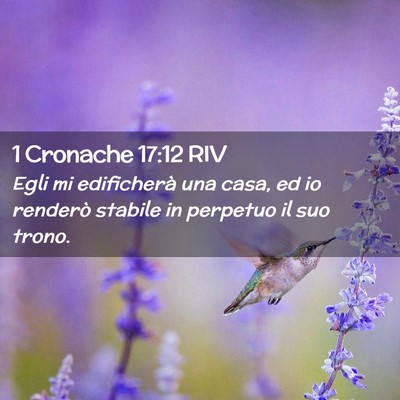 Picture 02 - 1 Cronache 17:12 RIV - Egli mi edificherà una casa, ed io renderò - Bible Verse Picture