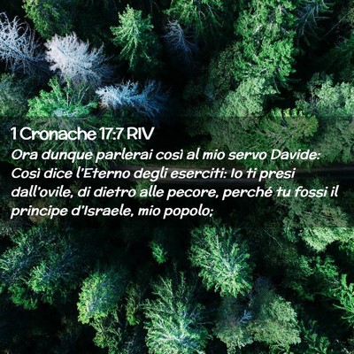 Picture 02 - 1 Cronache 17:7 RIV - Ora dunque parlerai così al mio servo Davide: - Bible Verse Picture