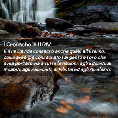 Picture 02 - 1 Cronache 18:11 RIV - E il re Davide consacrò anche quelli - Bible Verse Picture