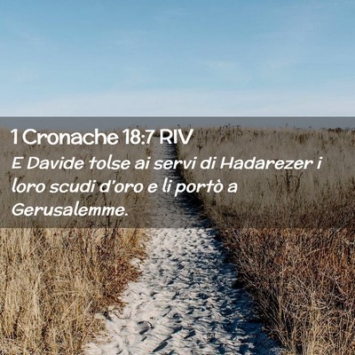 Picture 02 - 1 Cronache 18:7 RIV - E Davide tolse ai servi di Hadarezer i loro scudi - Bible Verse Picture