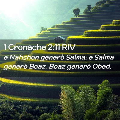 Picture 02 - 1 Cronache 2:11 RIV - e Nahshon generò Salma; e Salma generò Boaz. - Bible Verse Picture